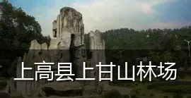 上高县上甘山林场