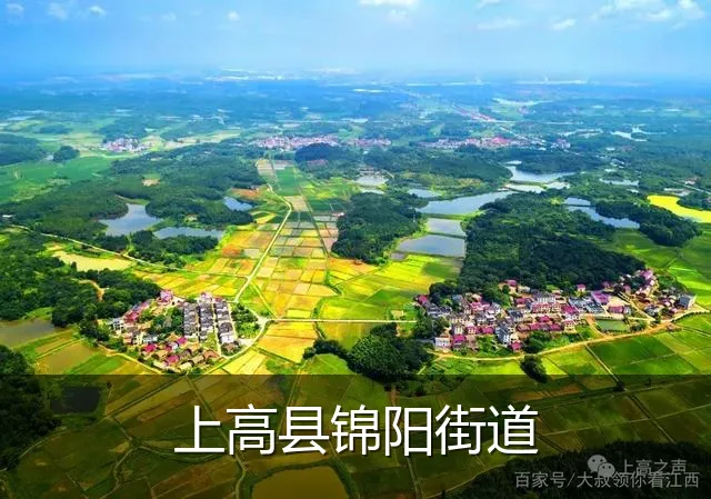 上高县锦阳街道